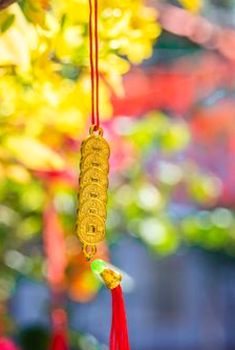 cách tập trung một cửa